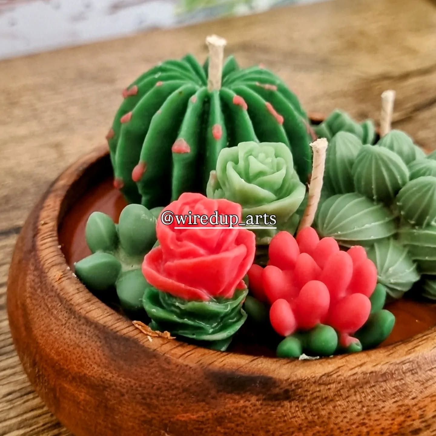 Succulent soy candles